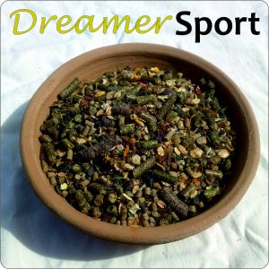Dreamer Sport